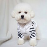 WOOF Hoodies for Bichon Frise