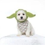 Yoda Halloween Bichon Frise Hat