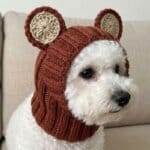 Side view of a Bichon Frise in a knitted bear snood hat covering head and neck