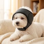 Bichon Frise wearing grey calming ear muffs