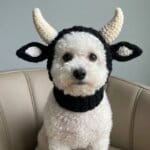 Black cow snood hat with ribbed neck warmer on Bichon Frise