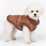 Bichon Frise wearing a brown shearling coat