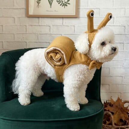 Bichon Frise in side profile showing the rolled snail shell of the costume